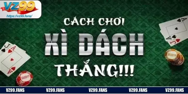 Cách chơi xì dách hiệu quả, dễ thắng lớn